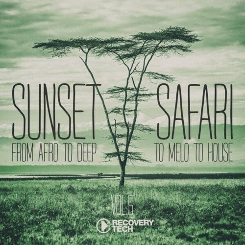 VA - Sunset Safari, Vol. 5 [RTCOMP2199]